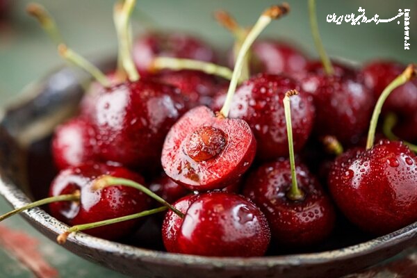 گیلاس؛ آنتی‌اکسیدانی قوی در سبد میوه تابستانی