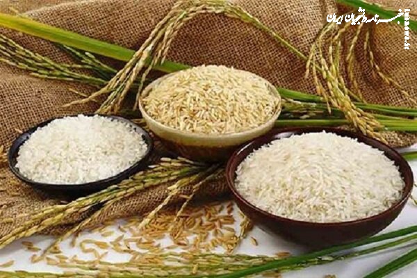 بازار انحصاری، برنج ایرانی را گران کرد
