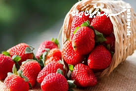  رشد ۲۰۰ درصدی توت‌فرنگی و حذف کامل قارچ‌کش از گلخانه‌ها با نانوحباب‌ها