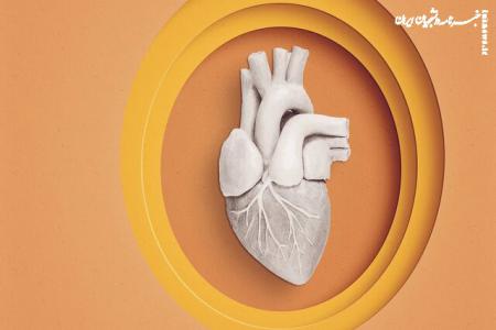 پیوند قلب مرده به یک نوزاد!