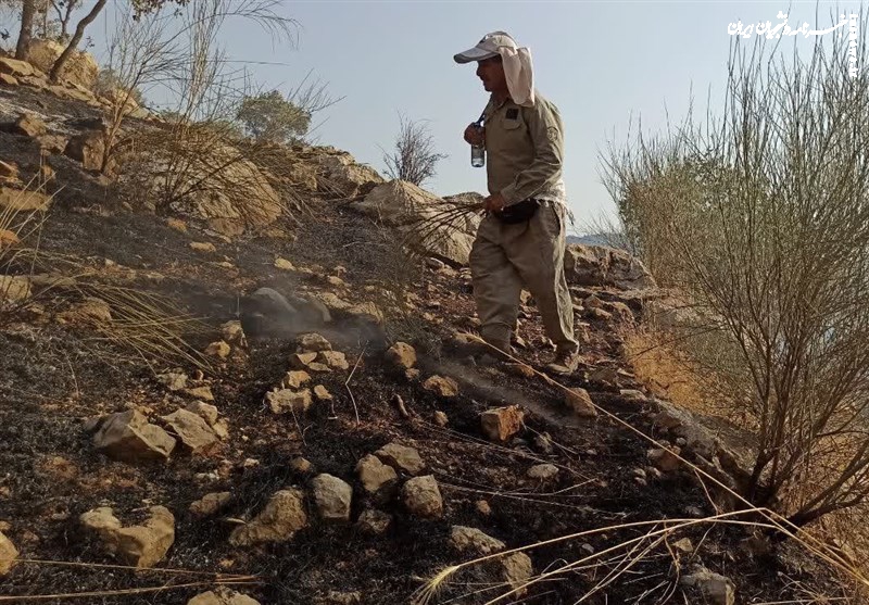 دانشگاه ایلام، نخ تسبیح حل معضلات زیست‌ محیطی