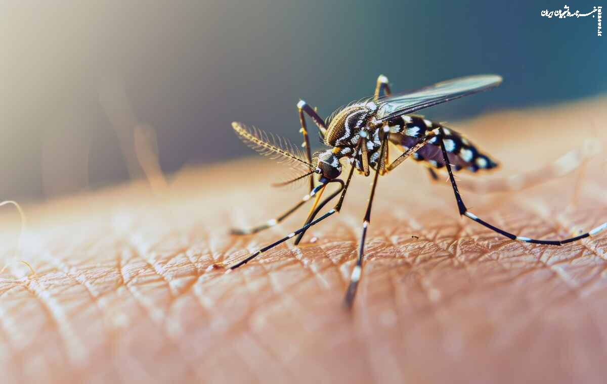 پای ویروس خطرناک جهان به ایران رسیده است؟