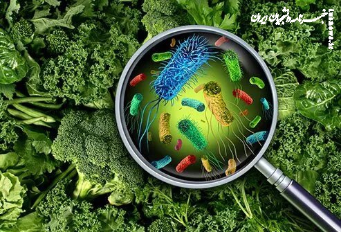 مراقب مسمومیت‌های غذایی باشید