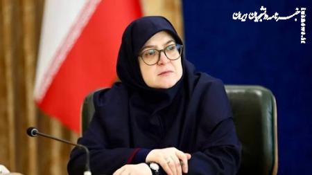دولت استرداد لایحه فضای مجازی را تصویب کرد