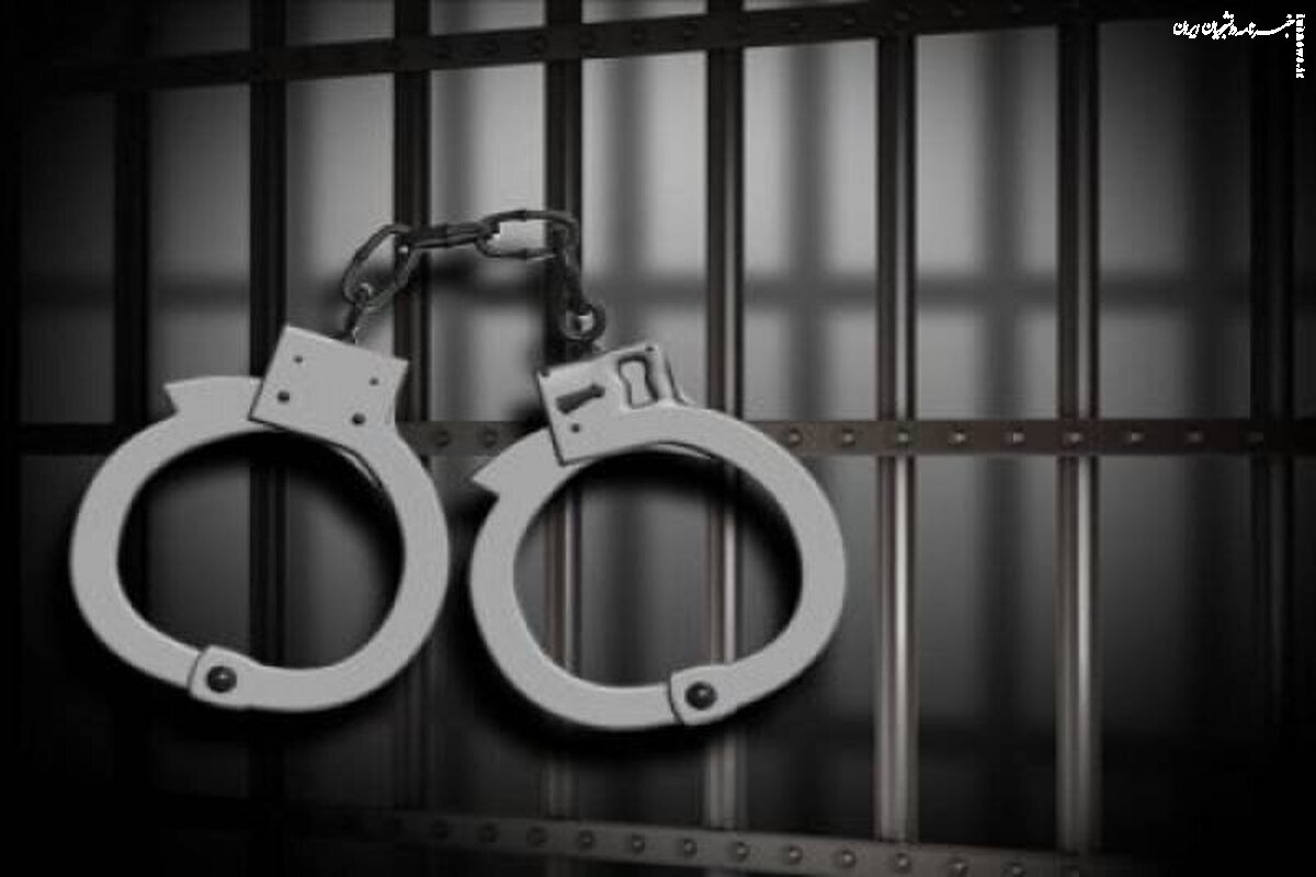 همدستی نوه و دوستش برای قتل مادربزرگ 