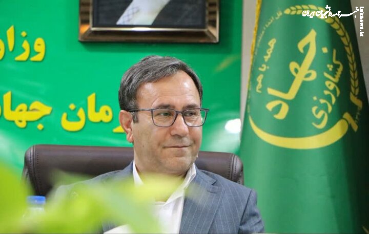 ۴۰ هکتار گلخانه جدید در لرستان احداث می‌شود