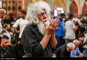 حرم مطهر حضرت علی (ع) در آستانه اربعین حسینی +عکس