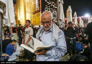 حرم مطهر حضرت علی (ع) در آستانه اربعین حسینی +عکس