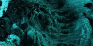 ۲۰۲۶ با رنگی تازه می‌آید؛ پیام‌آور بازسازی جهانی +عکس