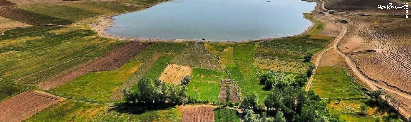 «پری» قربانی کشاورزی غیراصولی؛ تبعات برداشت بی رویه آب