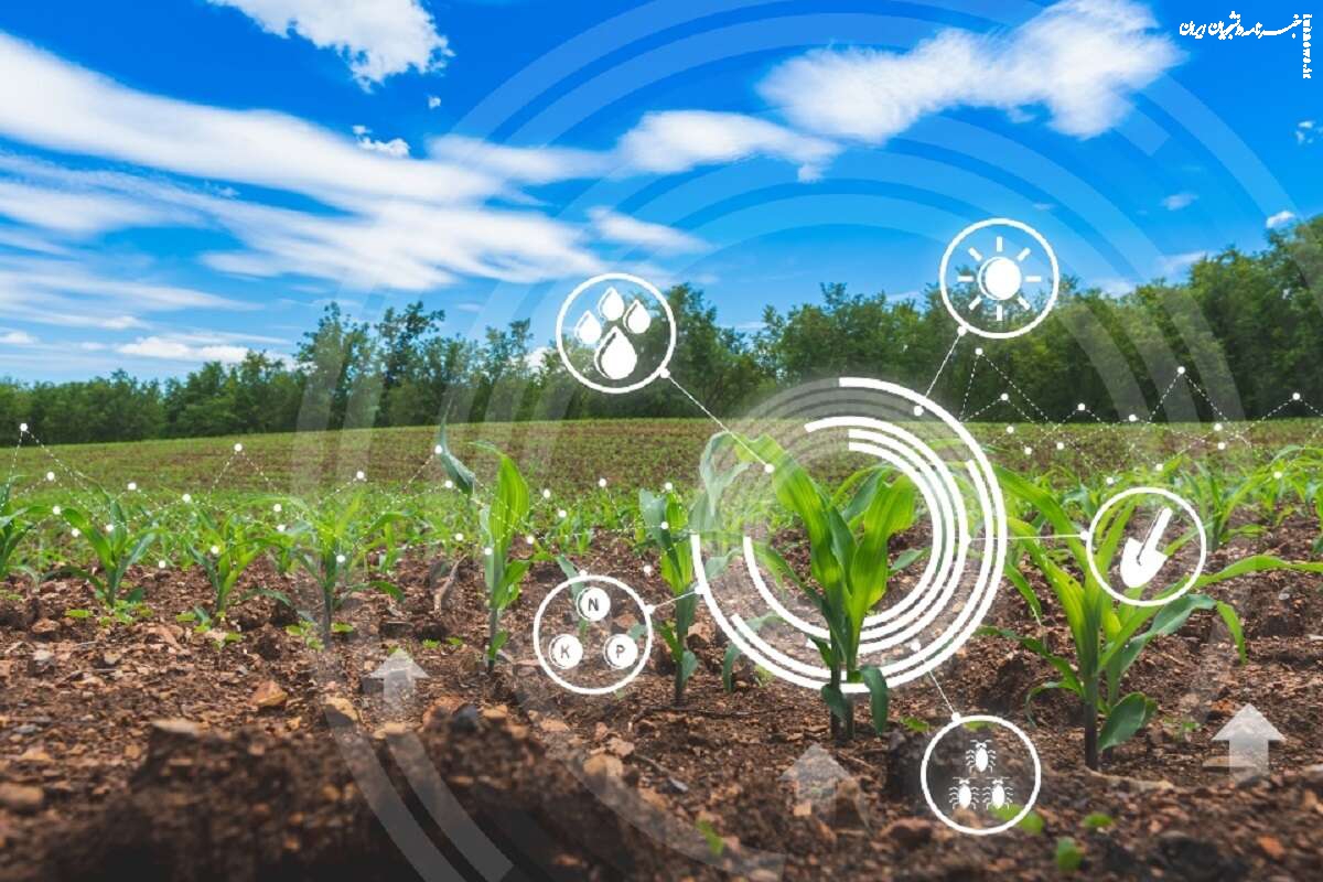 نکات کلیدی برای افزایش بهره‌ وری زمین‌ های کشاورزی
