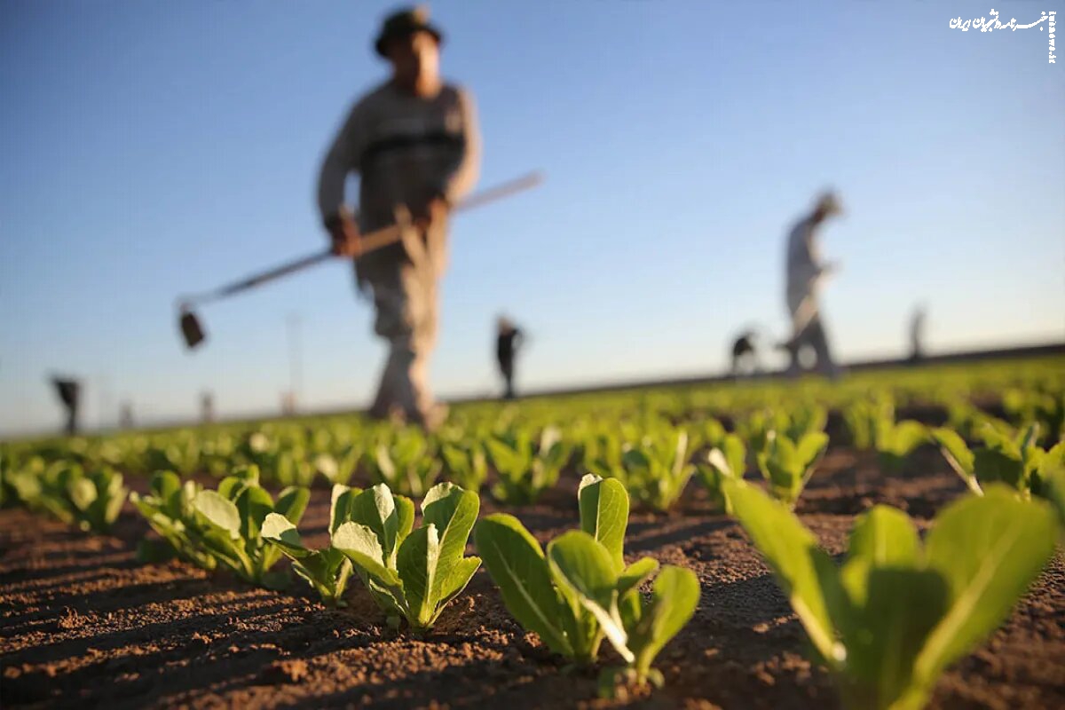 واگذاری سازمان حفظ نباتات ؛ اصلاح اداری یا تسهیل آگروتروریسم