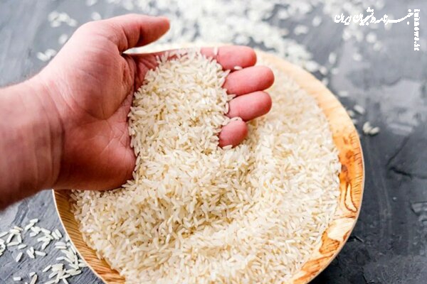 نابسامانی در سیستم تنظیم بازار برنج زنگ خطری برای رسیدن به خودکفایی