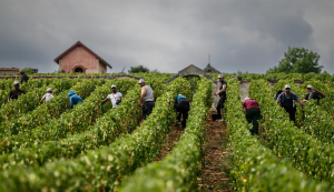 عکس | تصاویر منتخب این هفته انتخاب مجله آتلانتیک