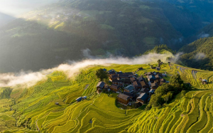 عکس | تصاویر منتخب این هفته انتخاب مجله آتلانتیک