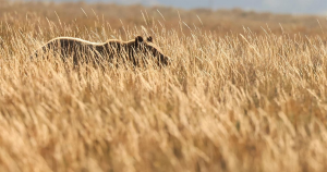 عکس | تصاویر منتخب این هفته انتخاب مجله آتلانتیک