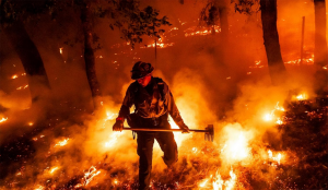 عکس | تصاویر منتخب این هفته انتخاب مجله آتلانتیک