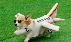 عکس | تصاویر منتخب این هفته انتخاب مجله آتلانتیک