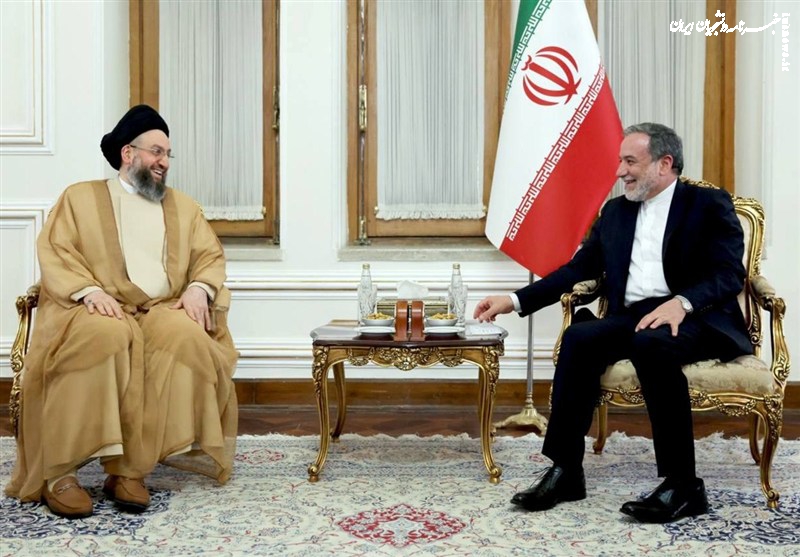 دیدار حکیم با سیدعباس عراقچی