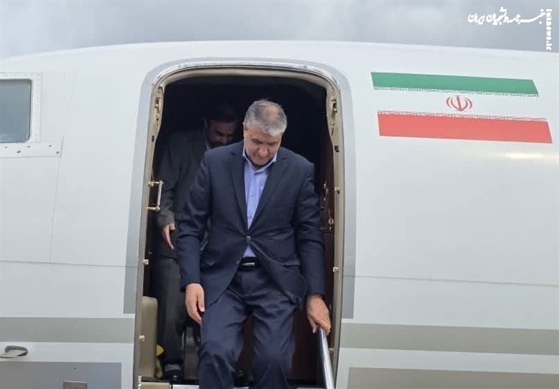  وضع قانون ممنوعیت حمله به تاسیسات هسته‌ای ضروری است