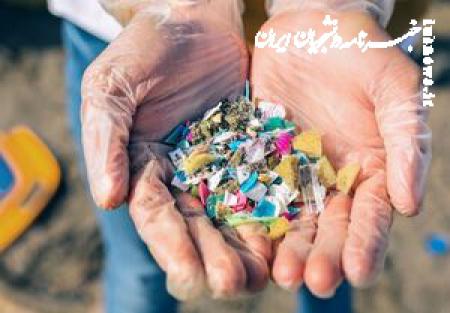 آسیب میکروپلاستیک‌ها به سلامت استخوان‌ها