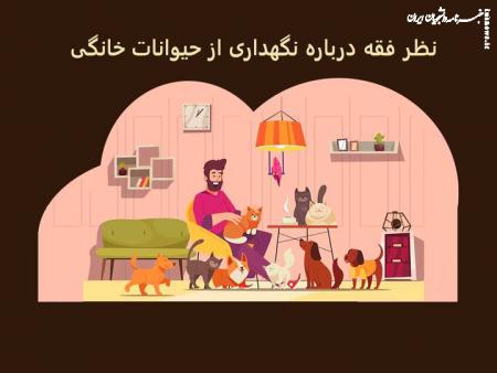 نظر فقه درباره نگهداری از حیوانات خانگی؛ آیا سگ داشتن حرام است؟