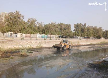 خور گور سوزان بندرعباس پاکسازی شد