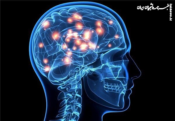 سلول بنیادی آسیب های سکته را درمان می‌کند