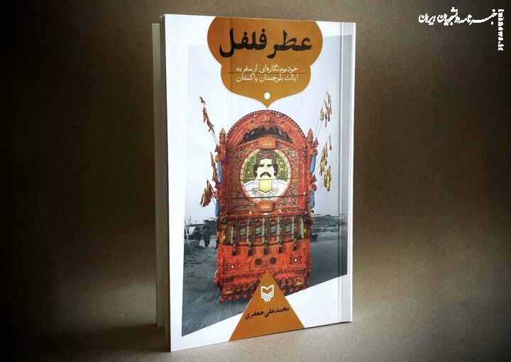 روایتی از فرهنگ و شیعیان پاکستان منتشر شد