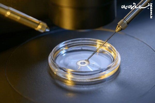 سلول‌های پوست انسان به باروری کمک می‌کند