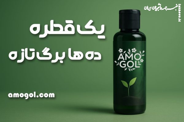 راز رشد سریع و طبیعی گیاهان با کود جلبک دریایی