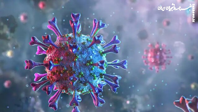 اینفوگرافیک: ۷ پروتکل طلایی فصل ویروس‌ها