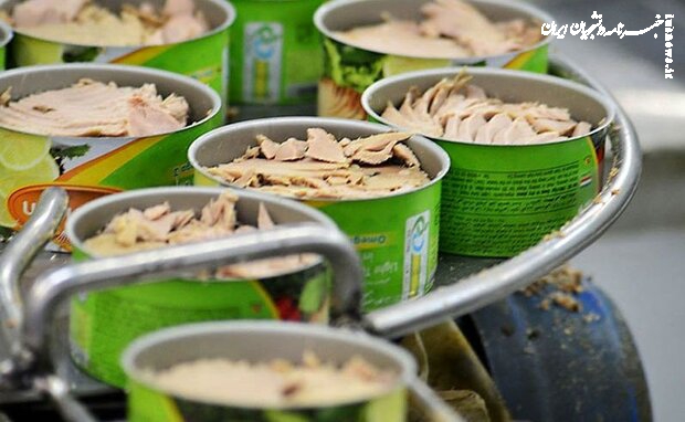 واردات ۵۰ درصدی تن‌ماهیان نرخ کنسرو را ۲ بار افزایش داد