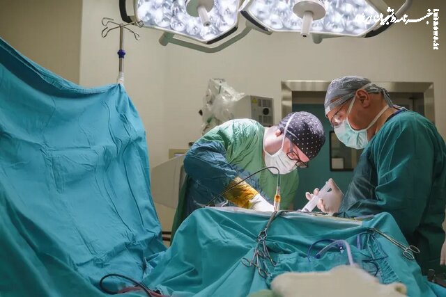 ماجرای جنین «مومیایی‌شده» در رحم زنی سالمند 