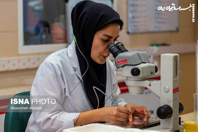 ابلاغ شیوه‌نامه اجرای طرح «شهید وزوایی» در سال تحصیلی جاری