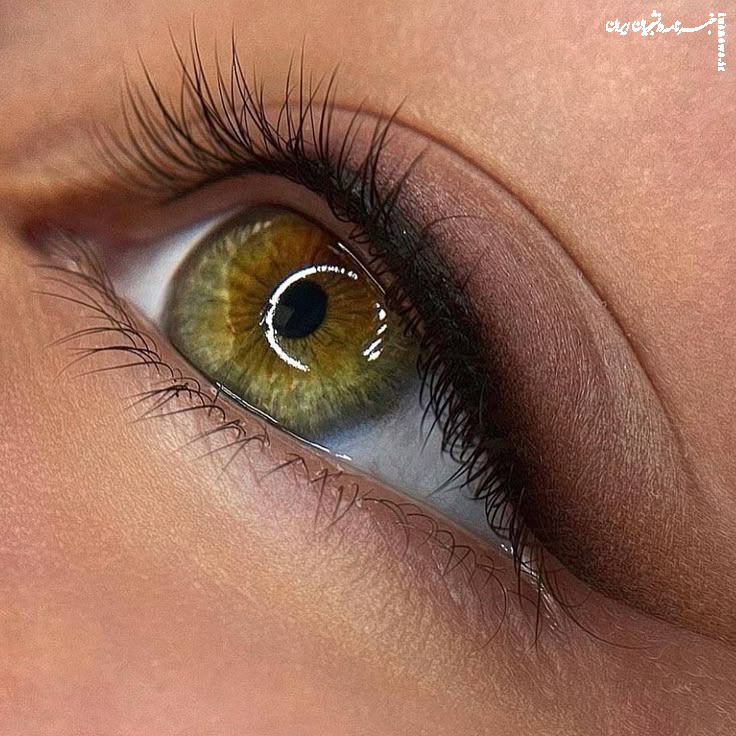 زیبایی ماندگار با بهترین فیبروز غرب تهران و آموزش تخصصی فیبروز و شیدینگ لب