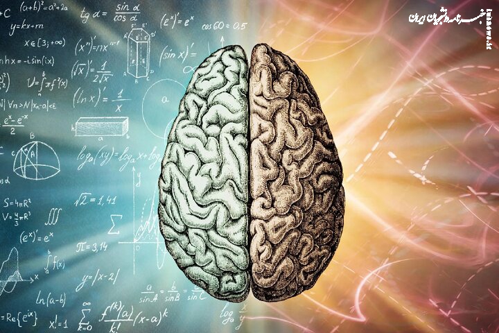 تمرینات ذهنی می‌توانند پیری مغز را تا ۱۰ سال معکوس کنند