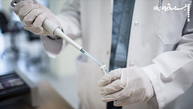 ابراز نگرانی WHO نسبت به افزایش شدید موارد ابتلا به «اچ‌آی‌وی» در چند کشور