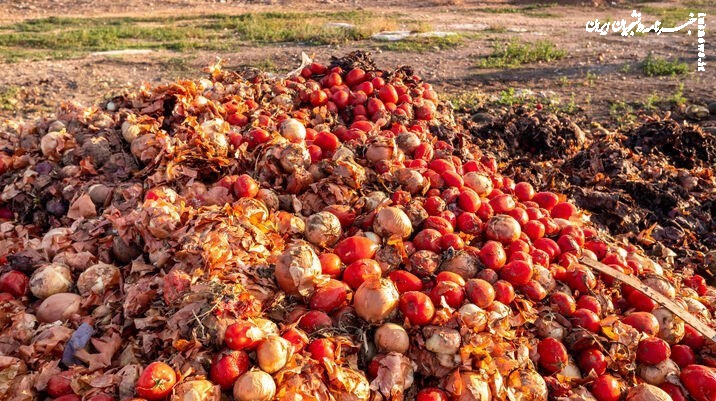 آمارهای تکان‌دهنده از نابودی محصولات کشاورزی