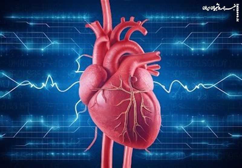 ۴۶ درصد از مرگ‌های کشور ناشی از بیماری‌های قلبی است