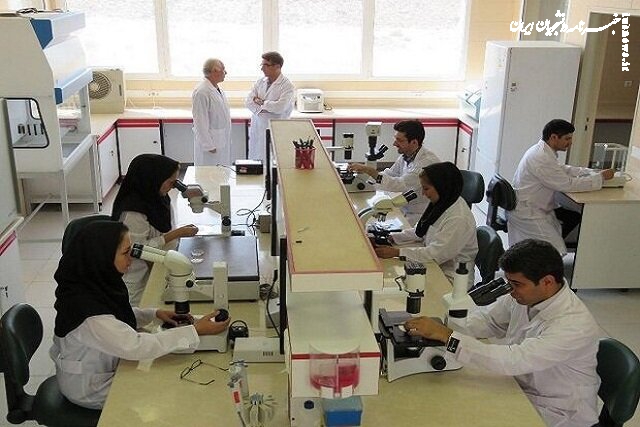  جزئیات ثبت‌نام در دو طرح حمایتی دانشجویان دکتری اعلام شد