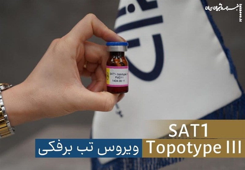 شناسایی سویه جدید ویروس تب‌برفکی SAT۱ در تهران