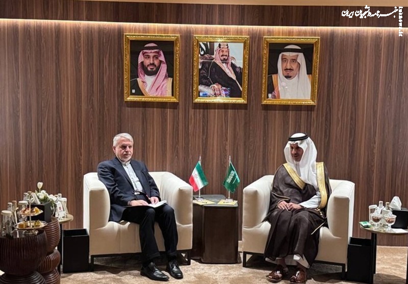 صالحی‌امیری: همکاری‌های فرهنگی ایران و عربستان می‌تواند الگوی وحدت‌اسلامی باشد