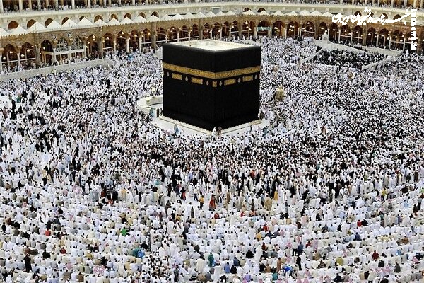 سفر معنوی دانشگاهیان؛ ۸ هزار نفر به سرزمین وحی مشرف می‌شوند