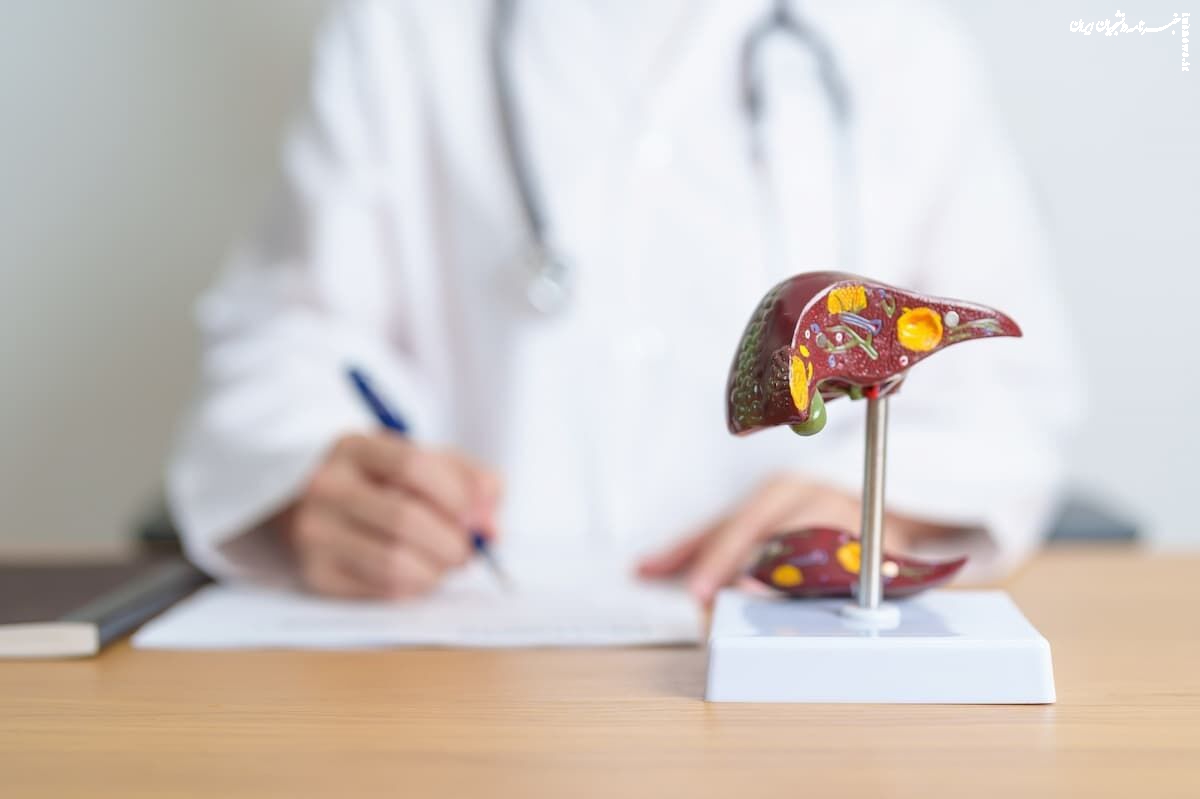 What Is the Effectiveness and Role of ProGsterol in the Improvement and Treatment of Fatty Liver Disease?