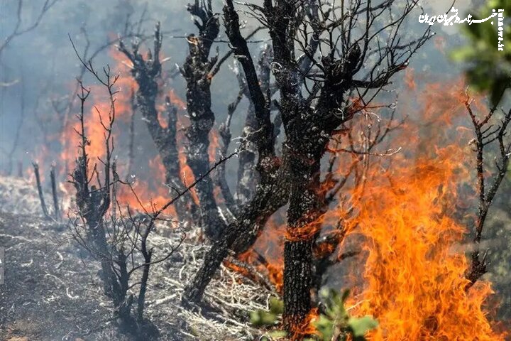اعزام هواپیماهای اطفای حریق از ترکیه برای مهار آتش جنگل الیت