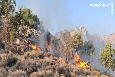 بالگردهای هوافراجا در عملیات اطفای حریق هیرکانی فعال هستند