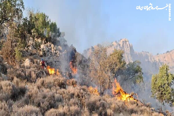 احیای نقش قاضی مشاور زن در مجتمع‌های قضایی ضرورت دارد