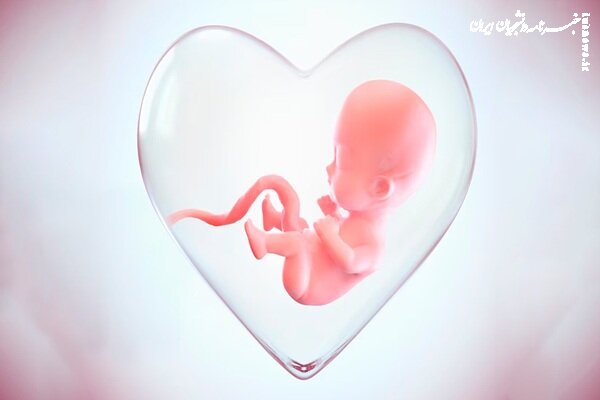 منصرف شدن ۱۹ هزار مادر از سقط جنین به کمک شبکه «نفس»