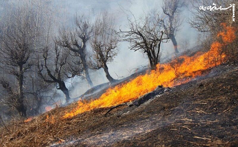 ردّ پای خرابکاری در آتش‌سوزی جنگل‌ها؟